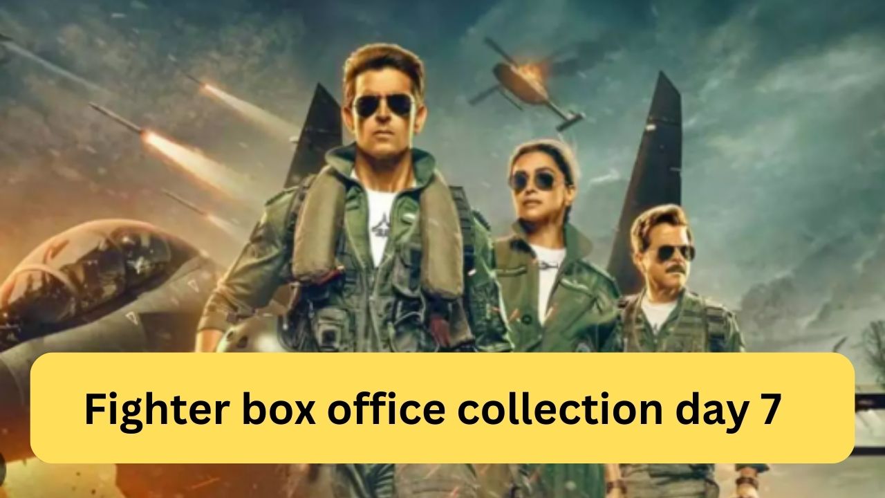 Fighter box office collection